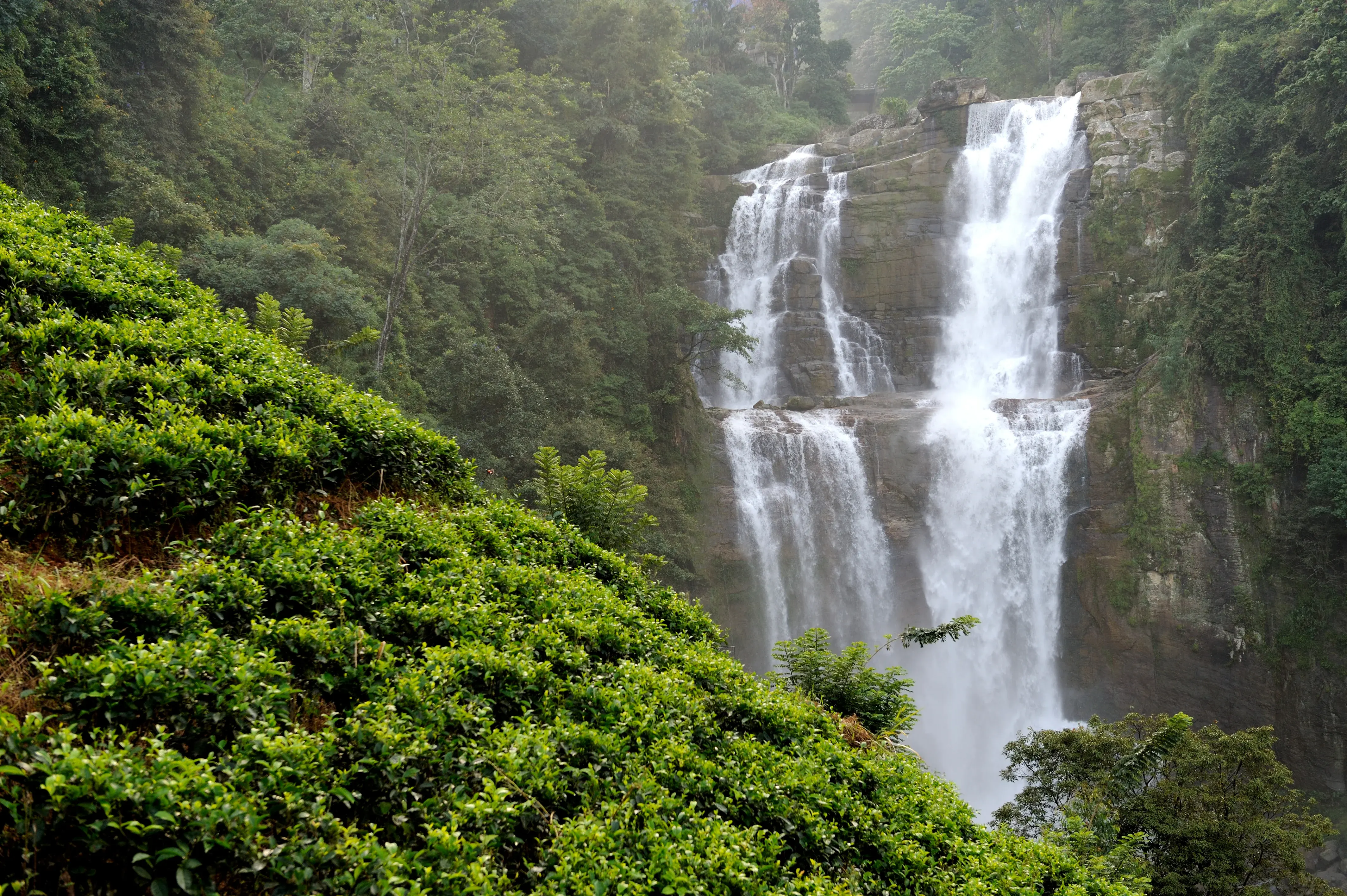 Jarabacoa